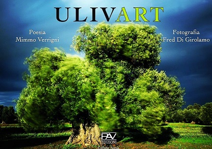 ulivart,-a-trani-la-mostra-artistica-in-omaggio-all'albero-d'ulivo-|-la-voce-news