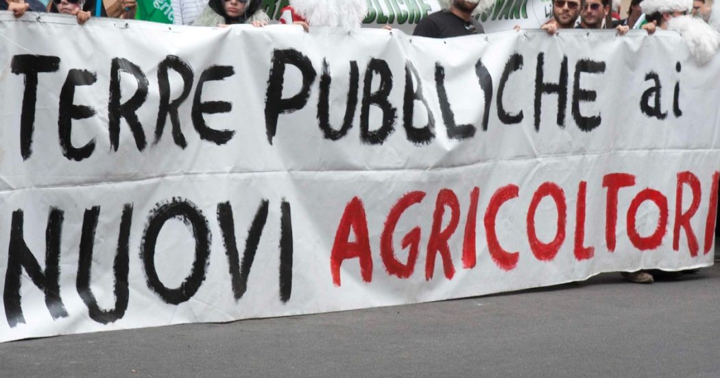 agricoltura-20,-altro-che-opportunita-per-i-giovani:-troppa-burocrazia,-pochi-sussidi.-e-gli-under-40-sono-sempre-meno:-“cosi-non-c'e-innovazione-per-fronteggiare-la-crisi-climatica”-–-il-fatto-quotidiano