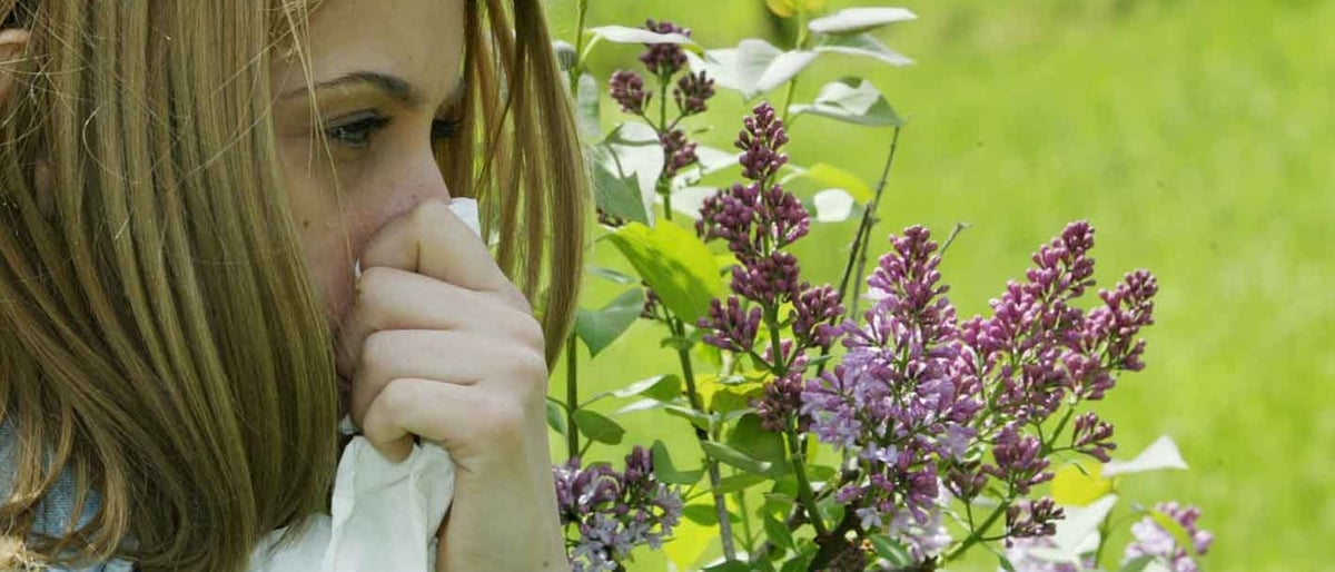 allergie-di-primavera,-ecco-come-difendersi-e-quali-rimedi-usare