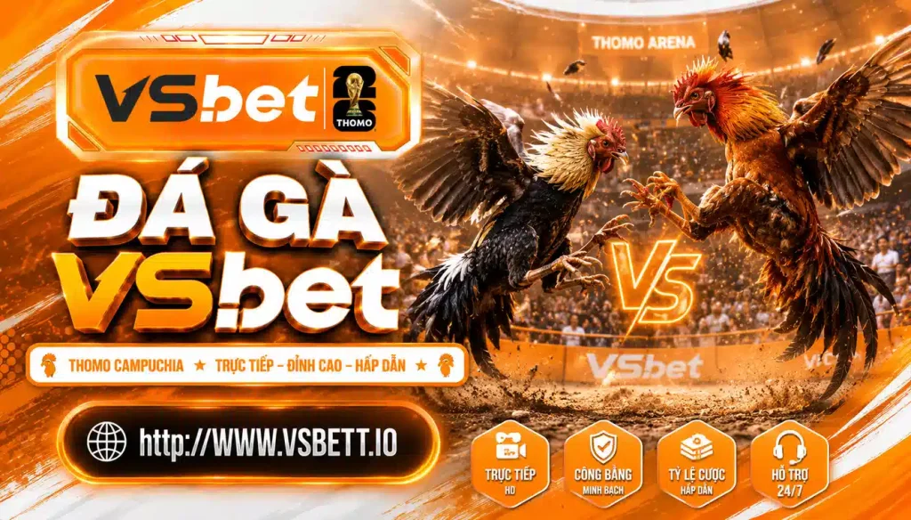 Đá Gà Vsbet — Xem Trực Tiếp & Cá Cược Uy Tín 2026